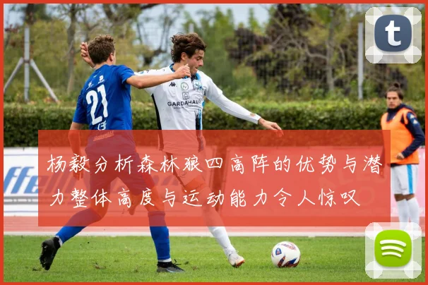 杨毅分析森林狼四高阵的优势与潜力整体高度与运动能力令人惊叹