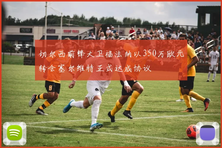 切尔西前锋大卫福法纳以350万欧元转会塞尔维特正式达成协议